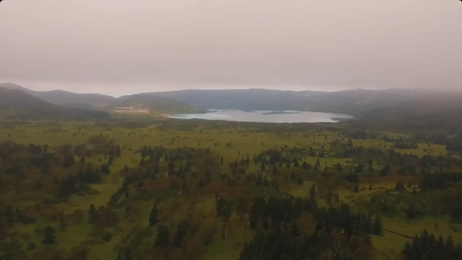 Фильм Лососевый рыбзавод